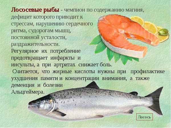 Как можно приготовить рыбу? Полезные свойства рыбы 