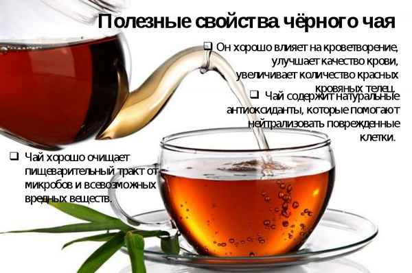 Черный чай повышает или понижает давление человека: как крепкий и сладкий напиток влияет на его уровень